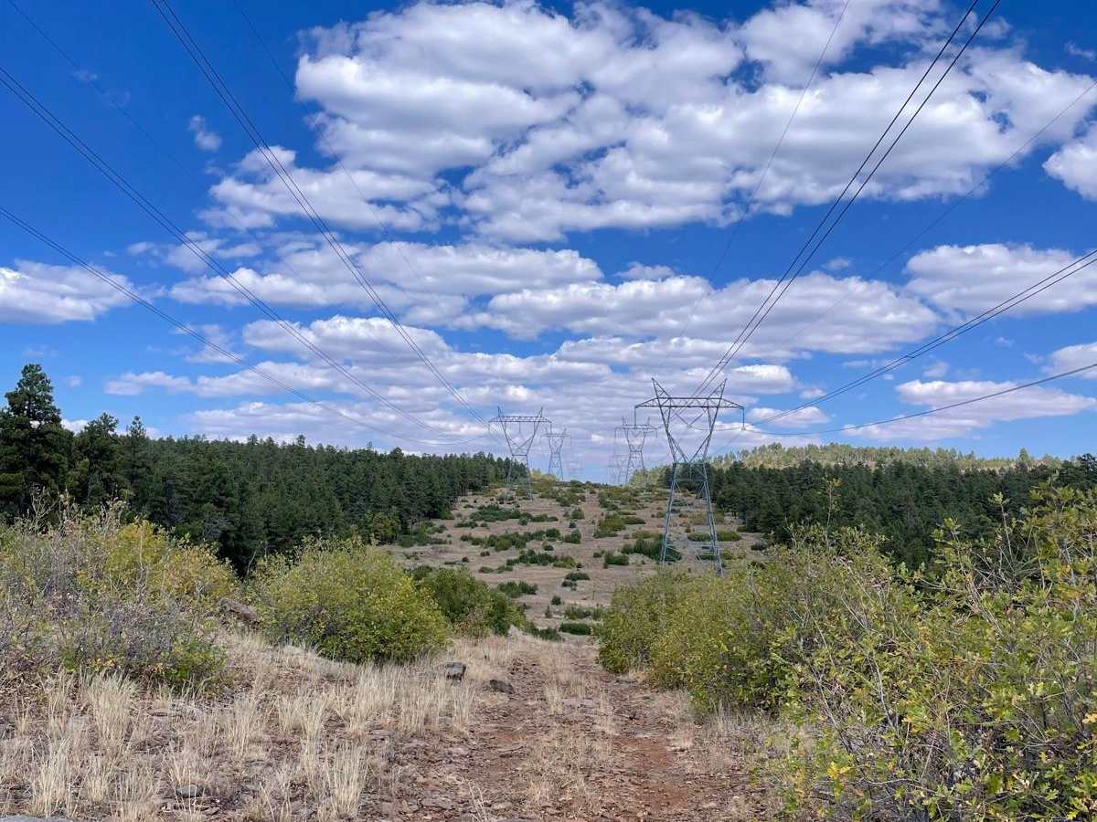 FS 757 trail photo