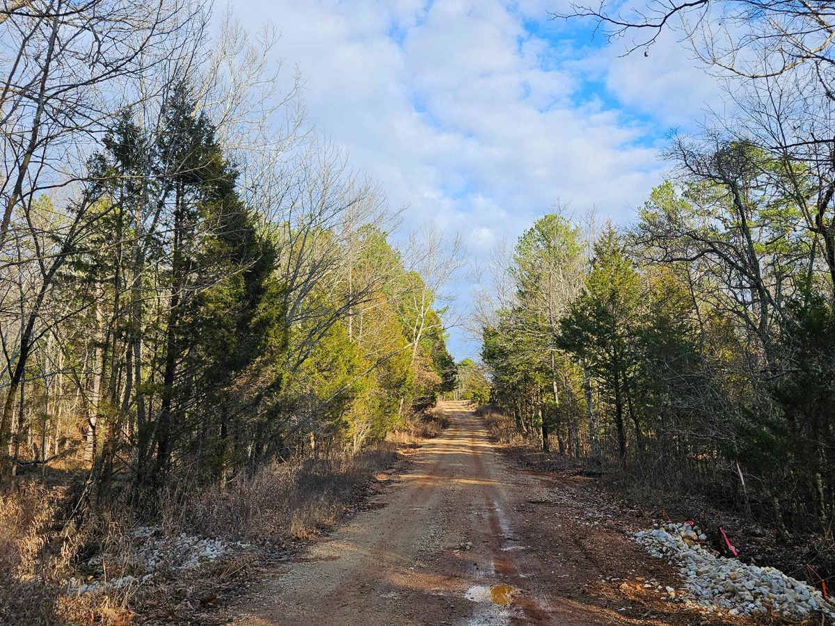 Palmer North - FSR 2695 photo 4