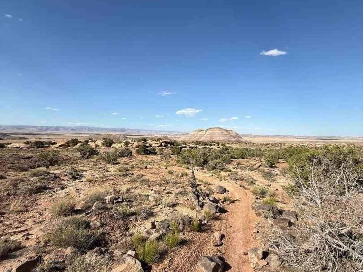 Enduro Loop trail photo