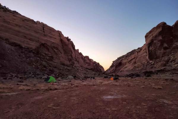 Behind the Reef 50-Inch Trail