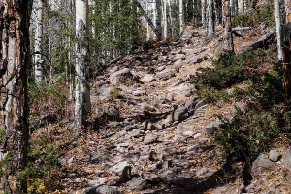 West Bear 932