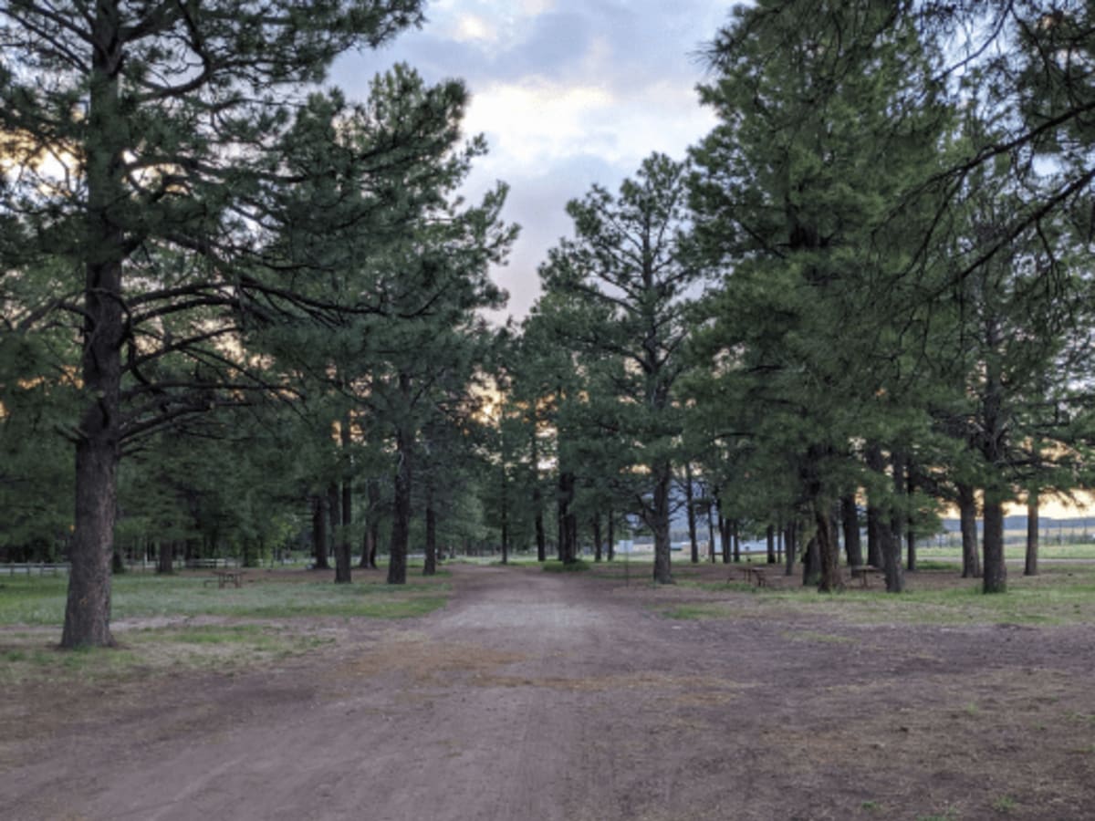 Arizona FSR 125 to FS 92 trail photo