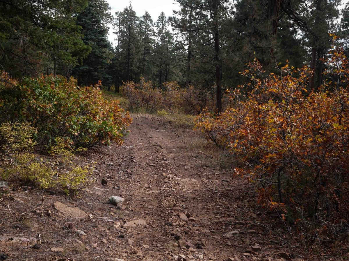 Mule Mountain Spur 2 photo 3