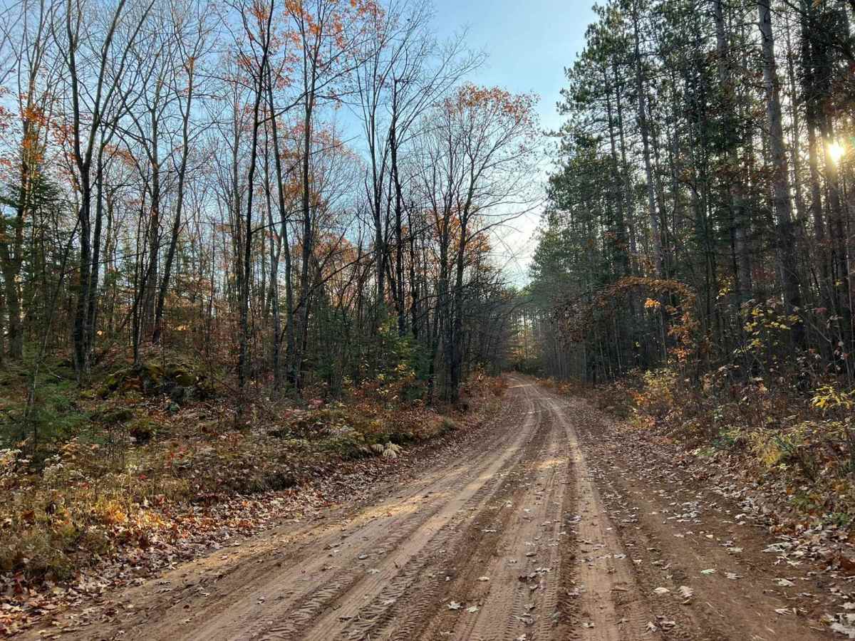 Marinette County 16E/W Pembine photo 3