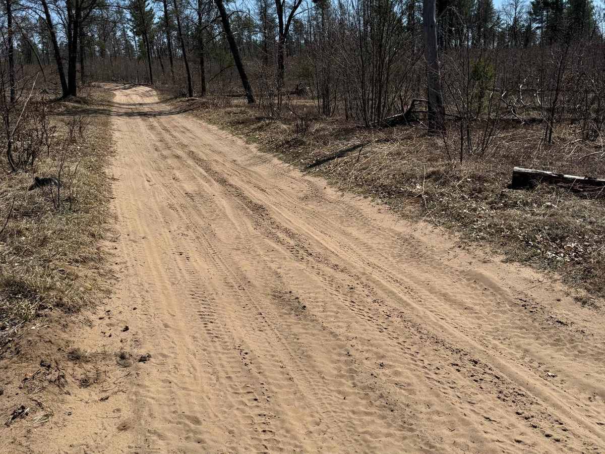 NFS 6036 trail photo