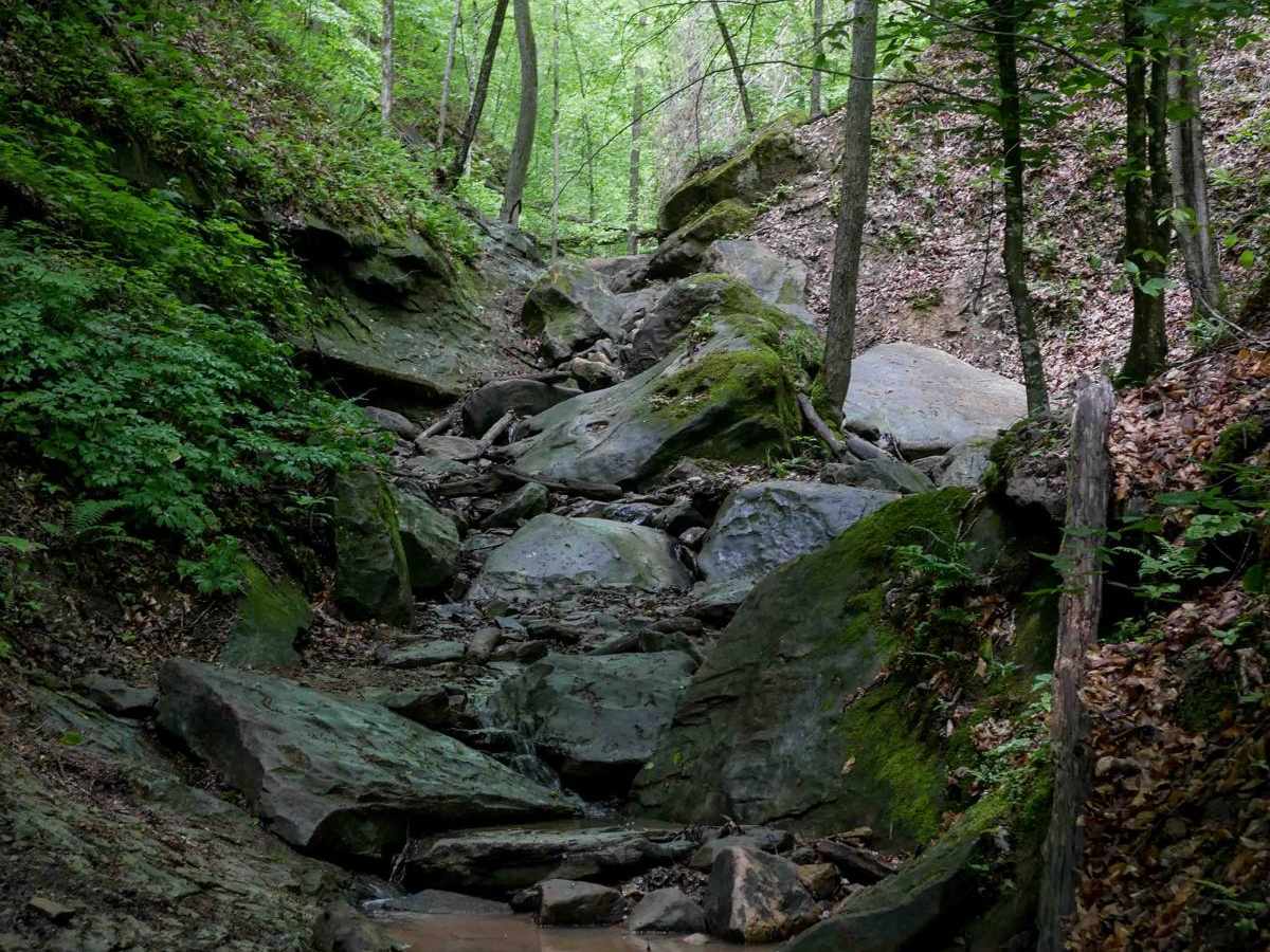 IB 92 trail photo