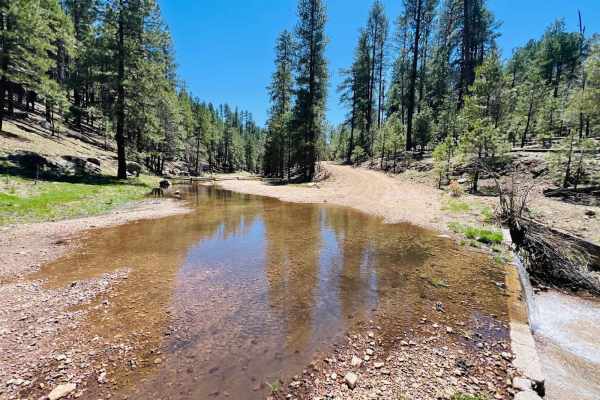 Clover Spur Maintained