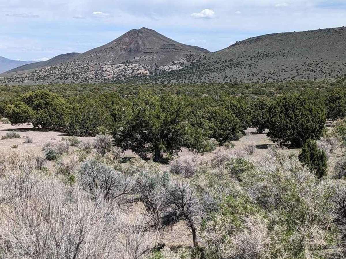 Springs Kiln Loop photo 6