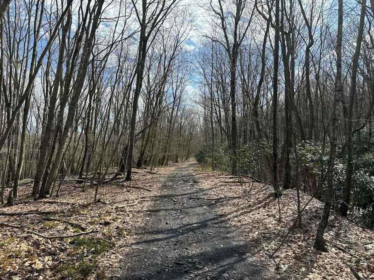 Ashland 119 trail photo
