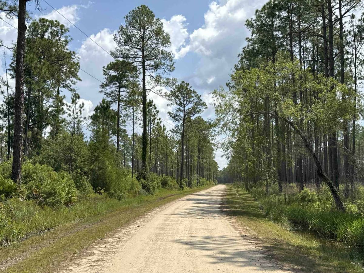 Jeff Sanders Road photo 3