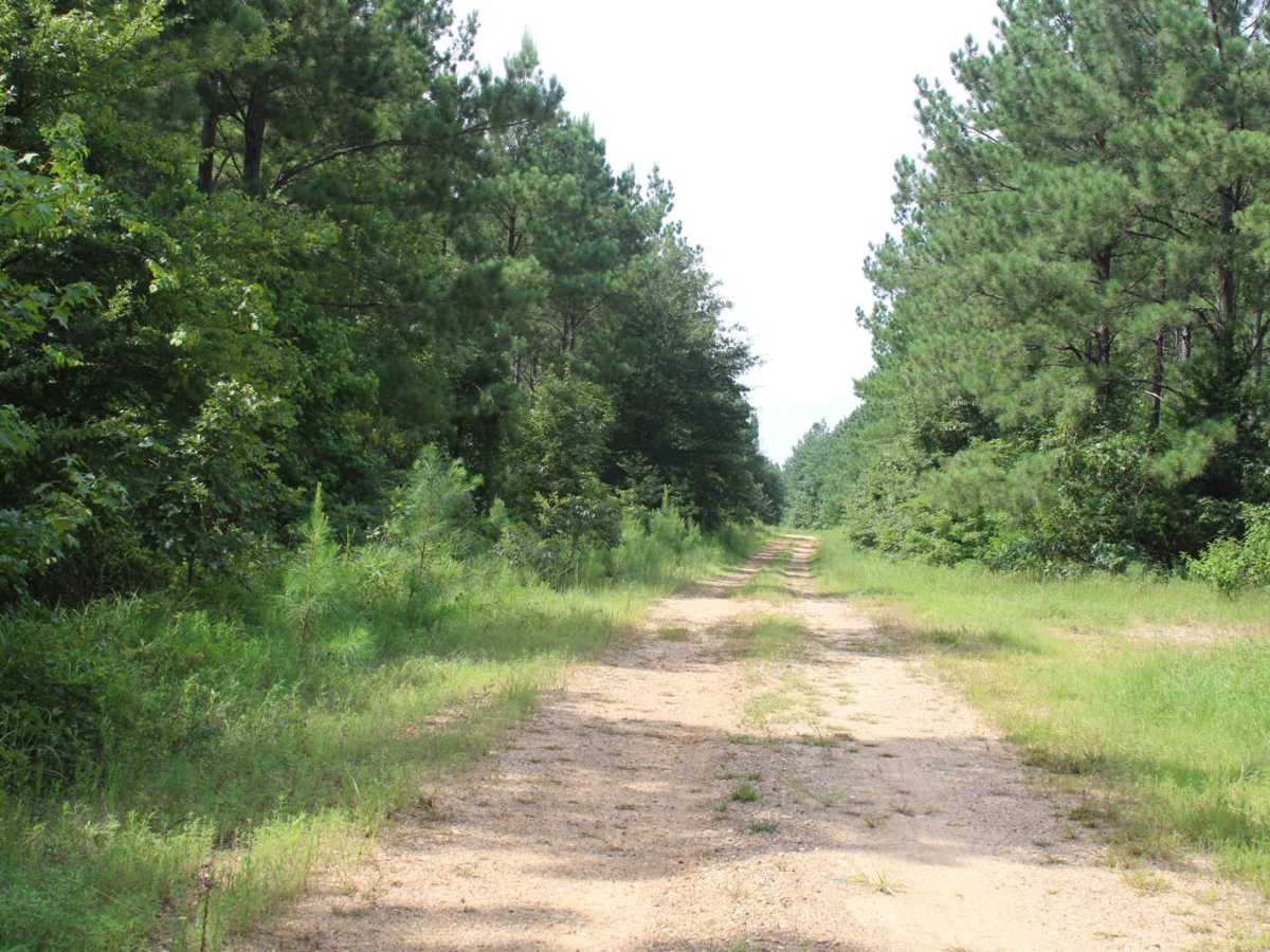 Little Bridge Creek to HWY 73 photo 2