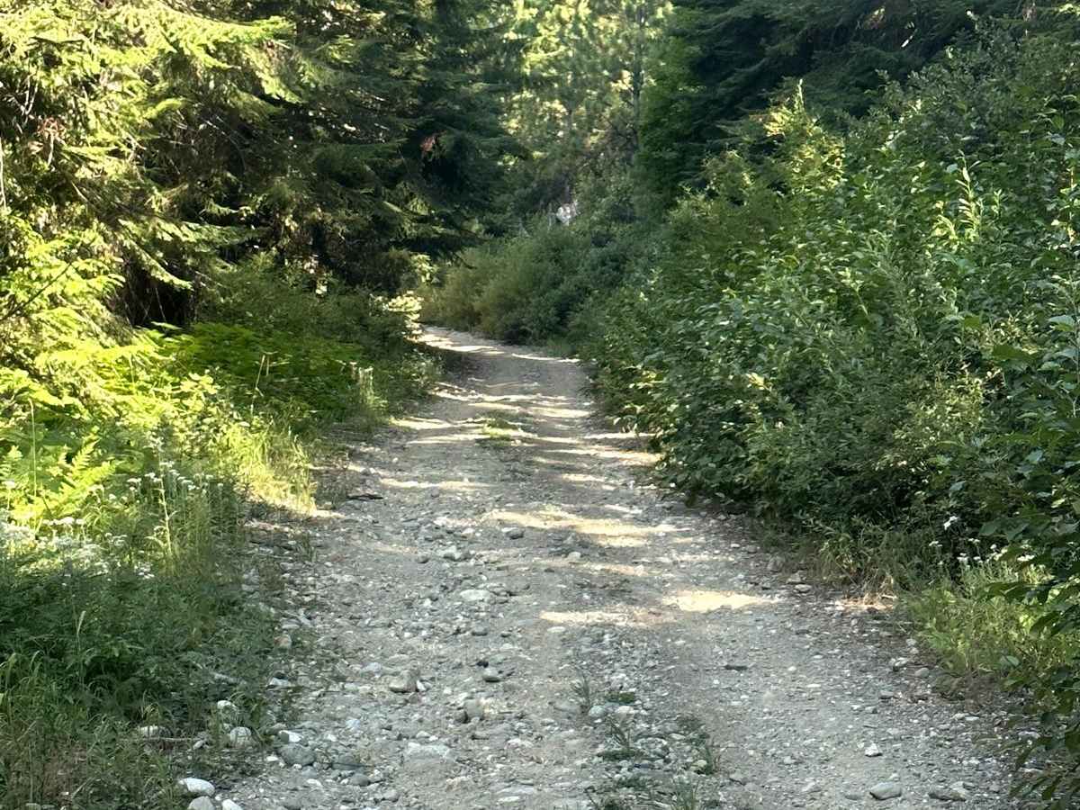 Sepp's Point (Pole Ridge Trail) photo 4