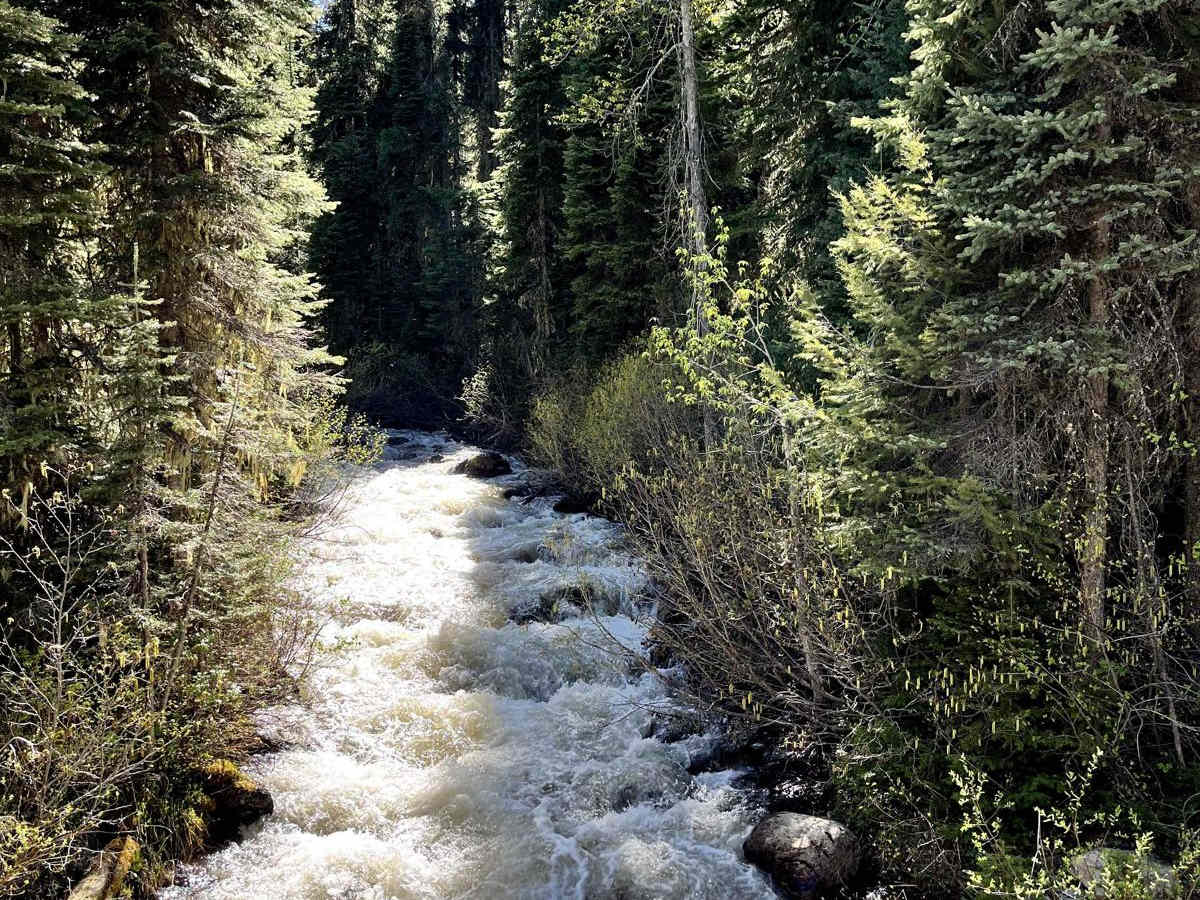 Big Cr Canyon Creek - NF316 photo 3