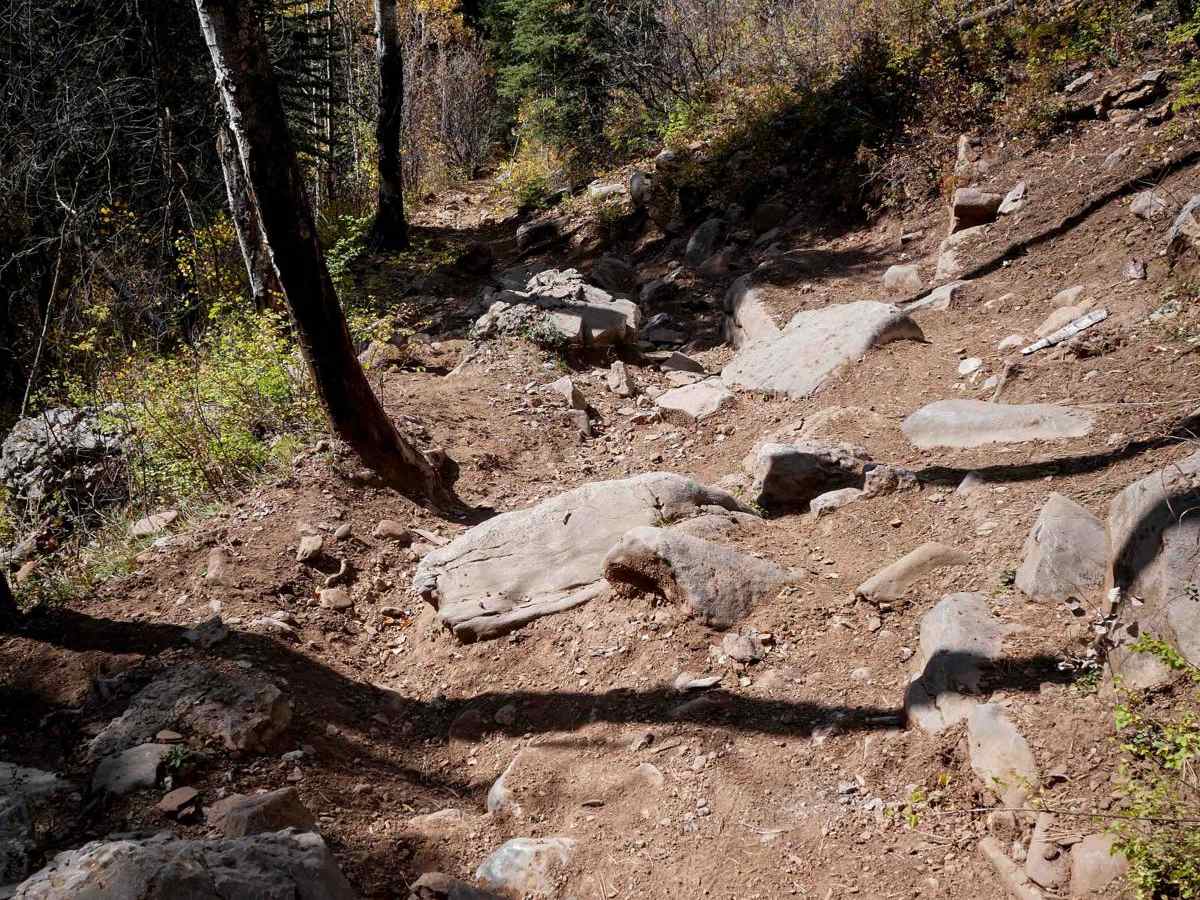 Dutch Creek photo 6