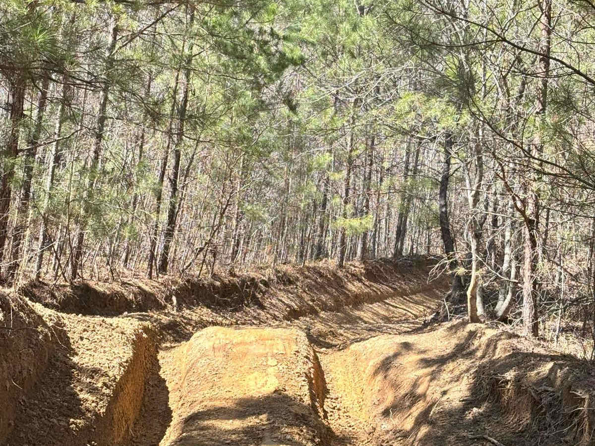 Turkey Hill photo 3