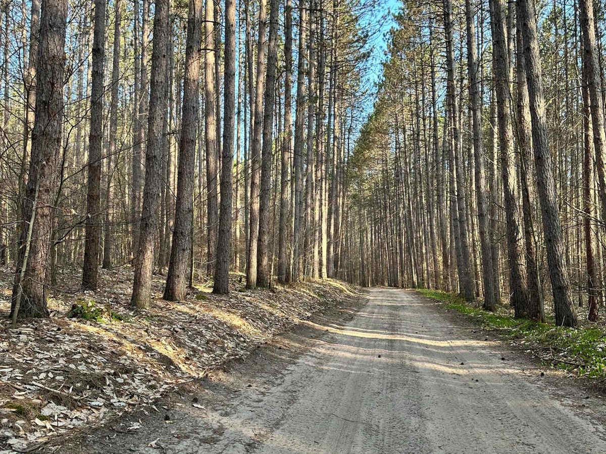 Cadillac Area ORV/OHV Scenic Ride - Part 4 photo 2