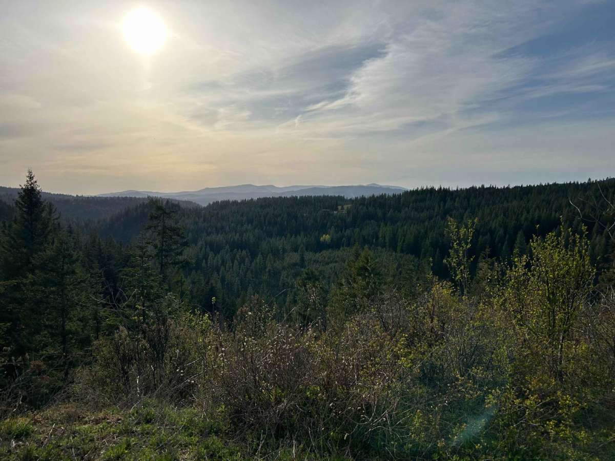 Carlin Creek/Carrill Ridge photo 5