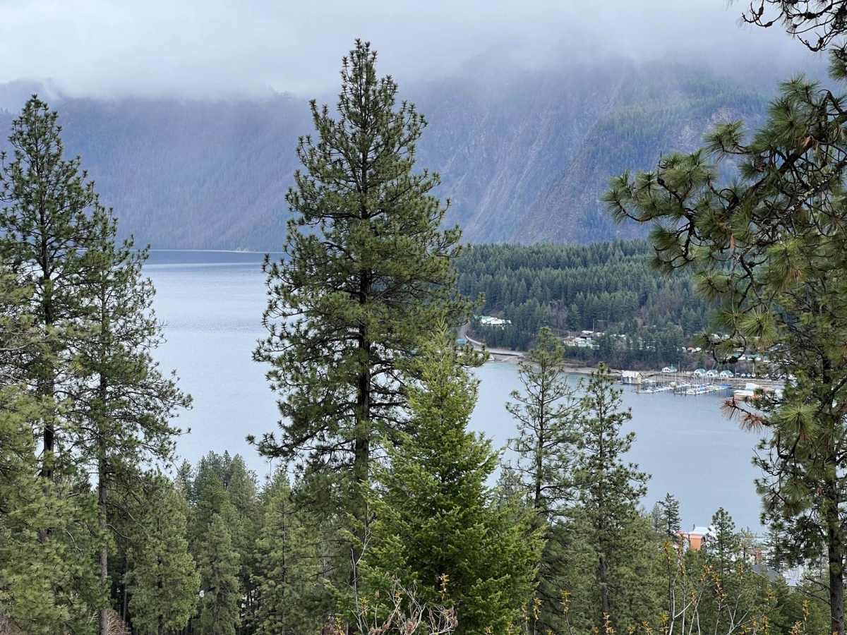 Cape Horn Mountain photo 5