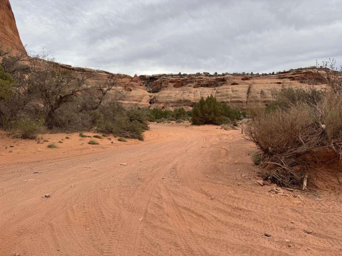 Bridge Canyon Road trail photo