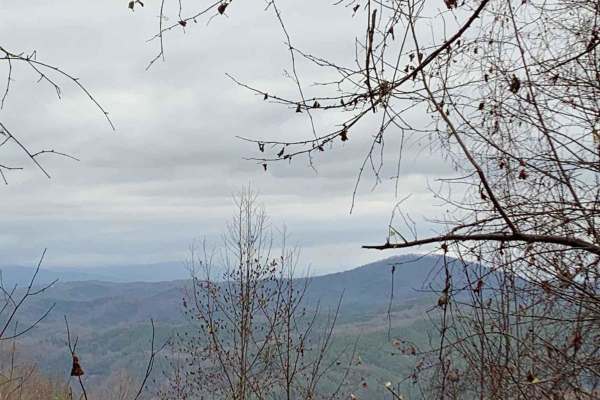 Peavine Sheeds - CR 221