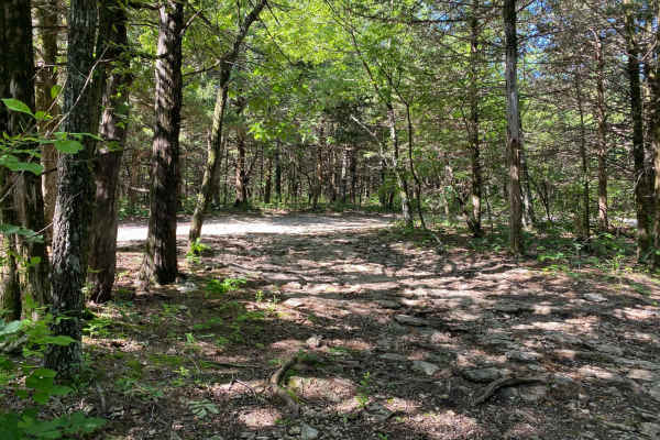 Sprattsville Trail