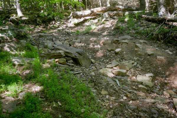 Trail 10