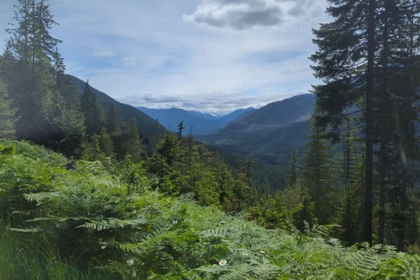 Johnson Ridge Trail