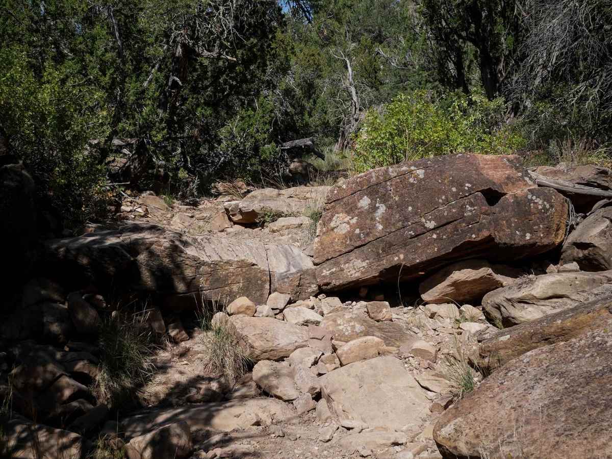 Waterfall trail photo