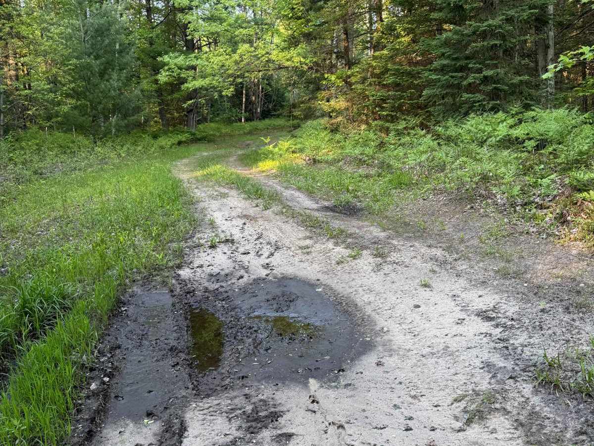 N-33 Trail photo 4