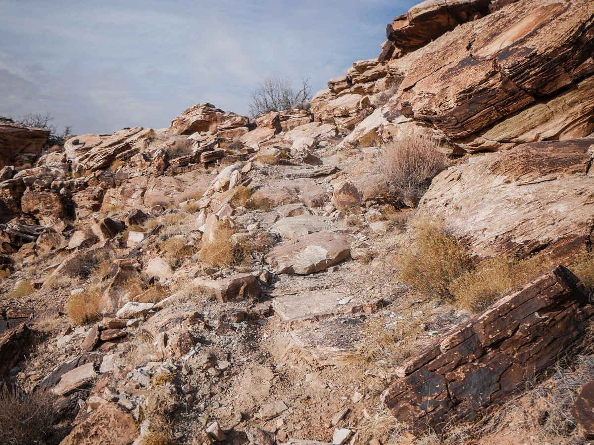Brushy Basin photo 2