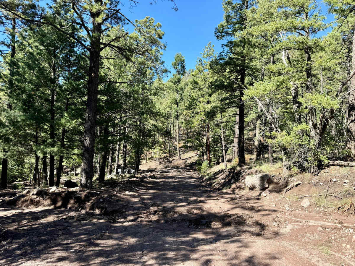 Old State Highway 52 - FR 549 photo 5