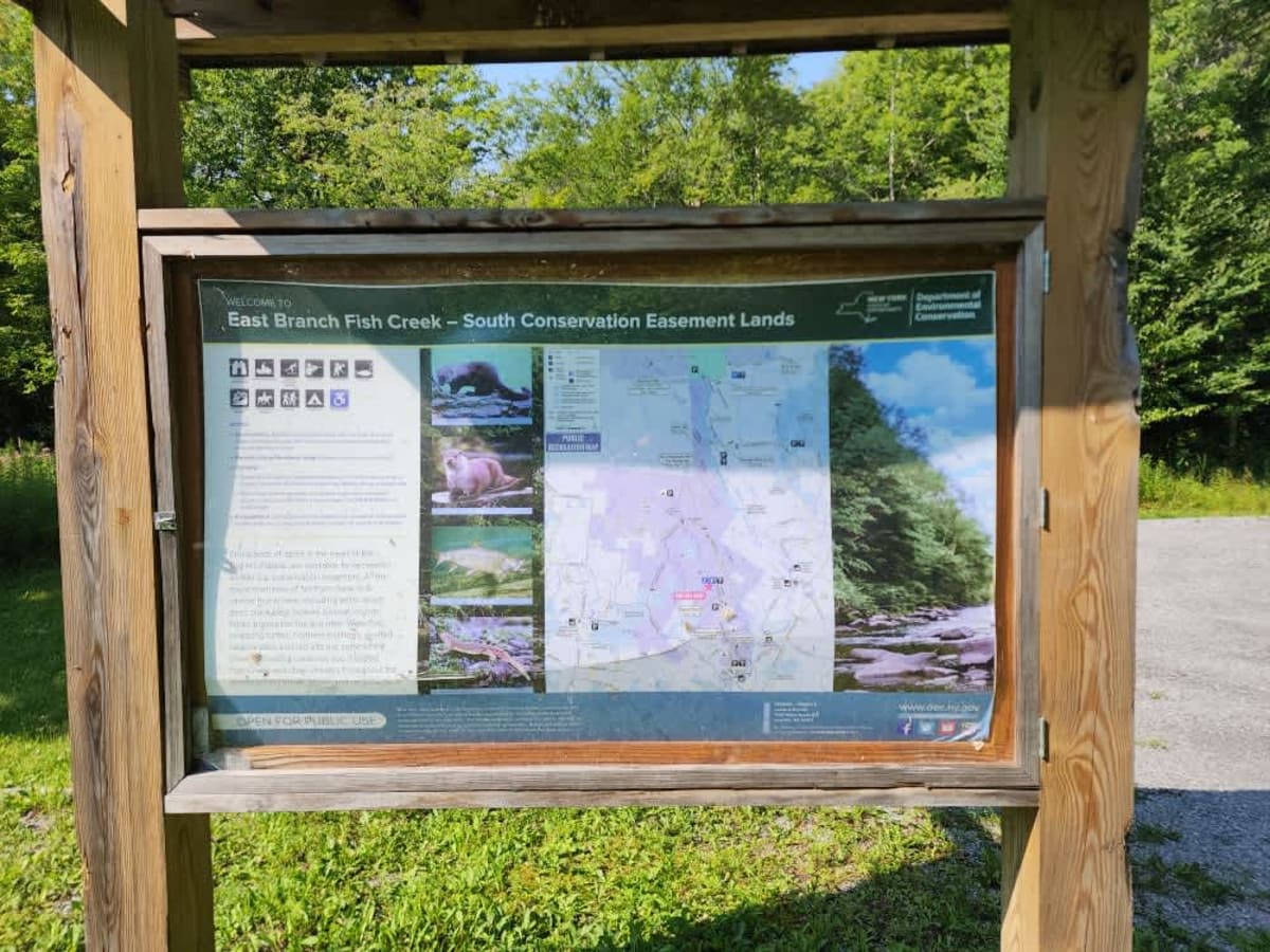 Camp 4 Road trail photo