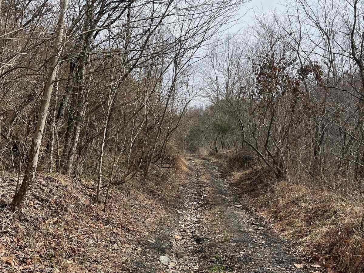 Trail 20 Wash Branch photo 6