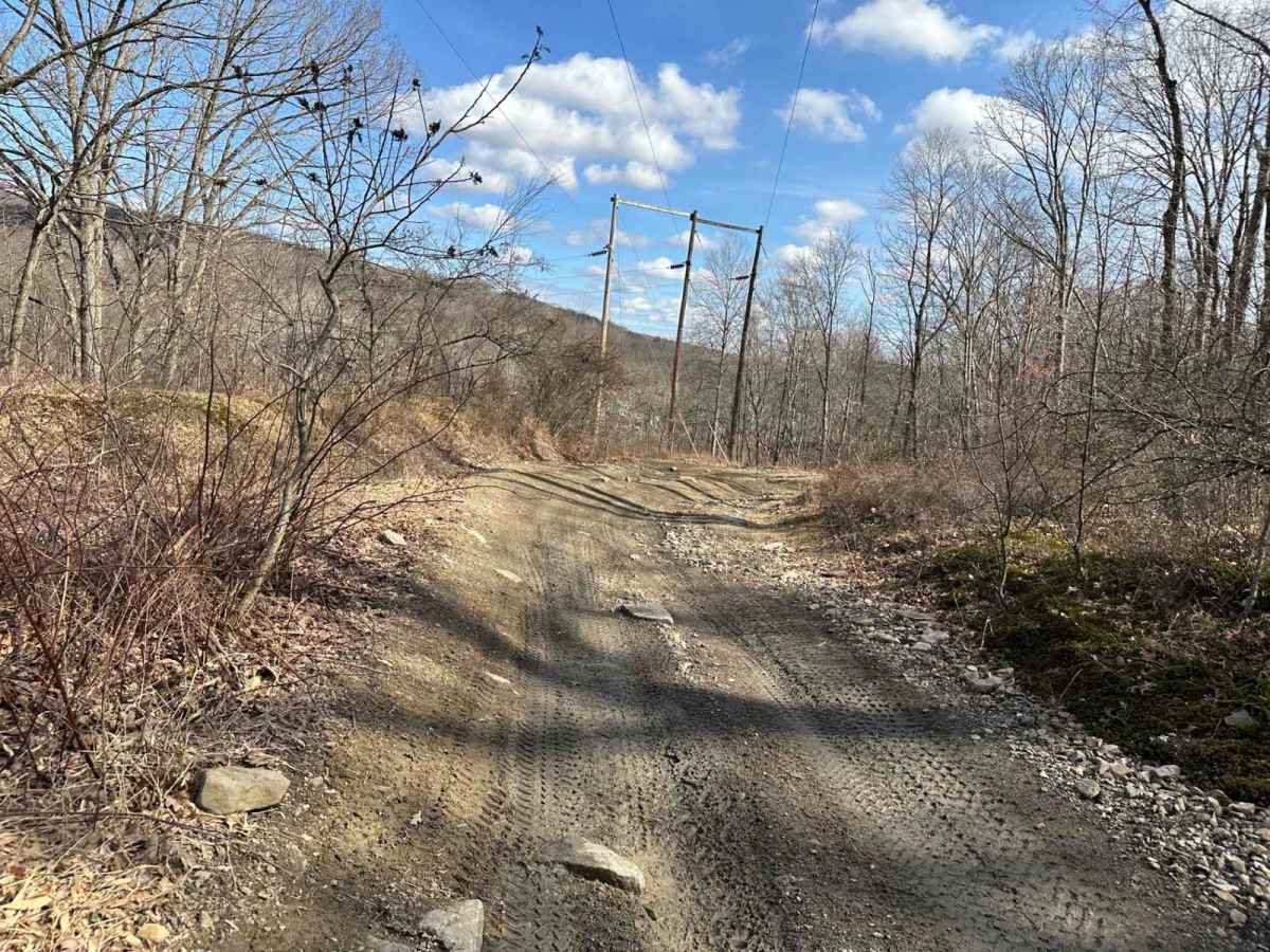 Locust Gap 49 photo 4