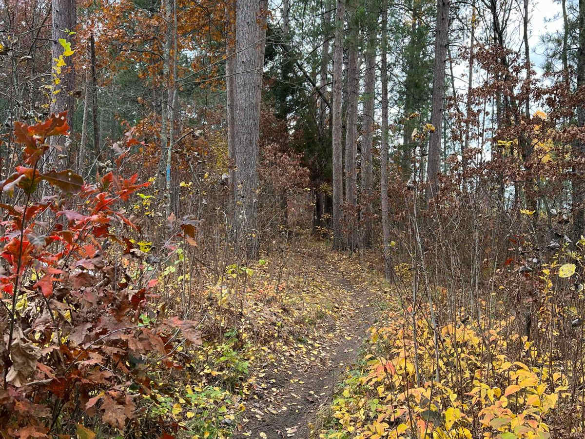 Huntersville Western Single Track Loop photo 4