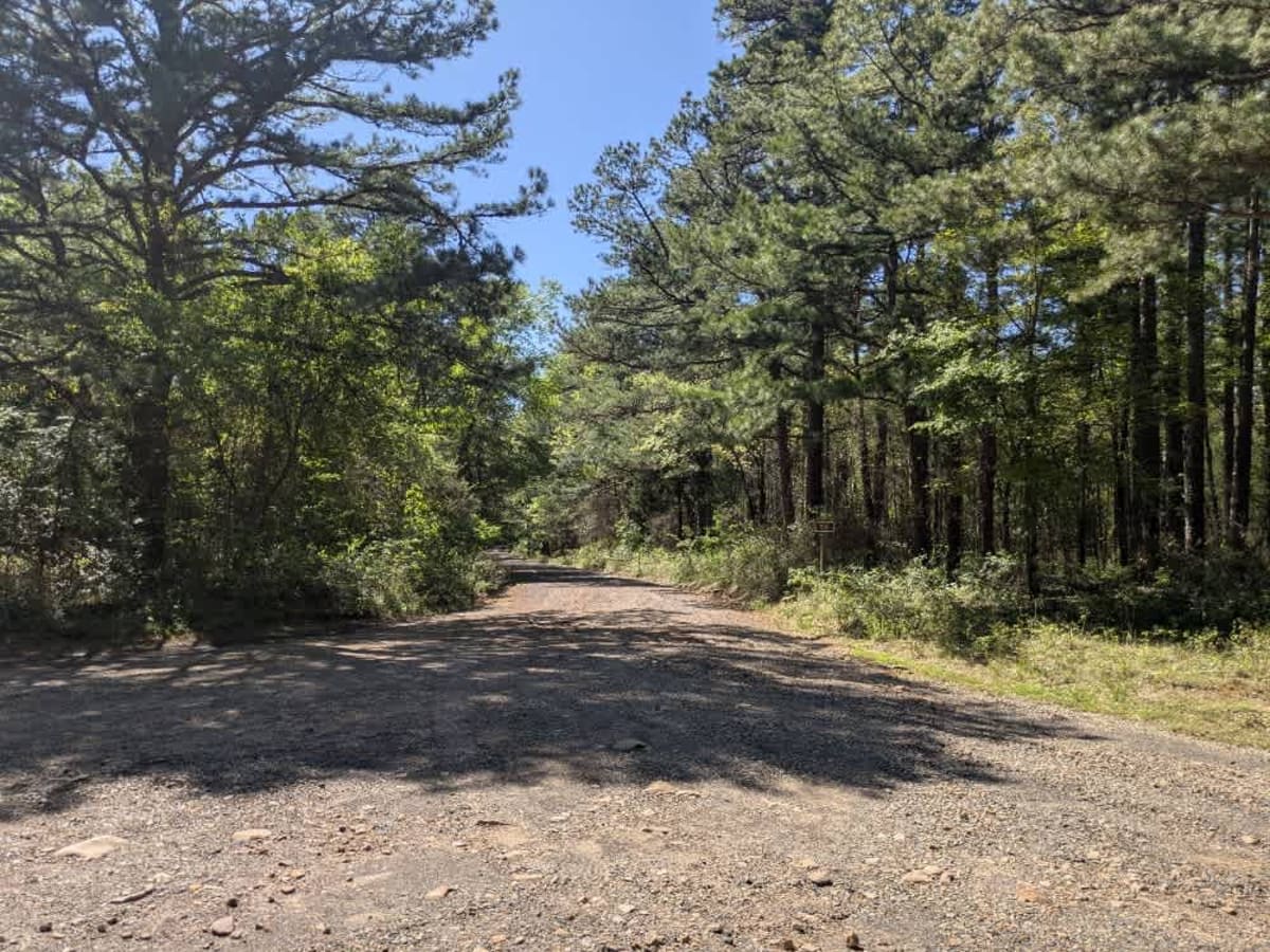 County Road 97 trail photo