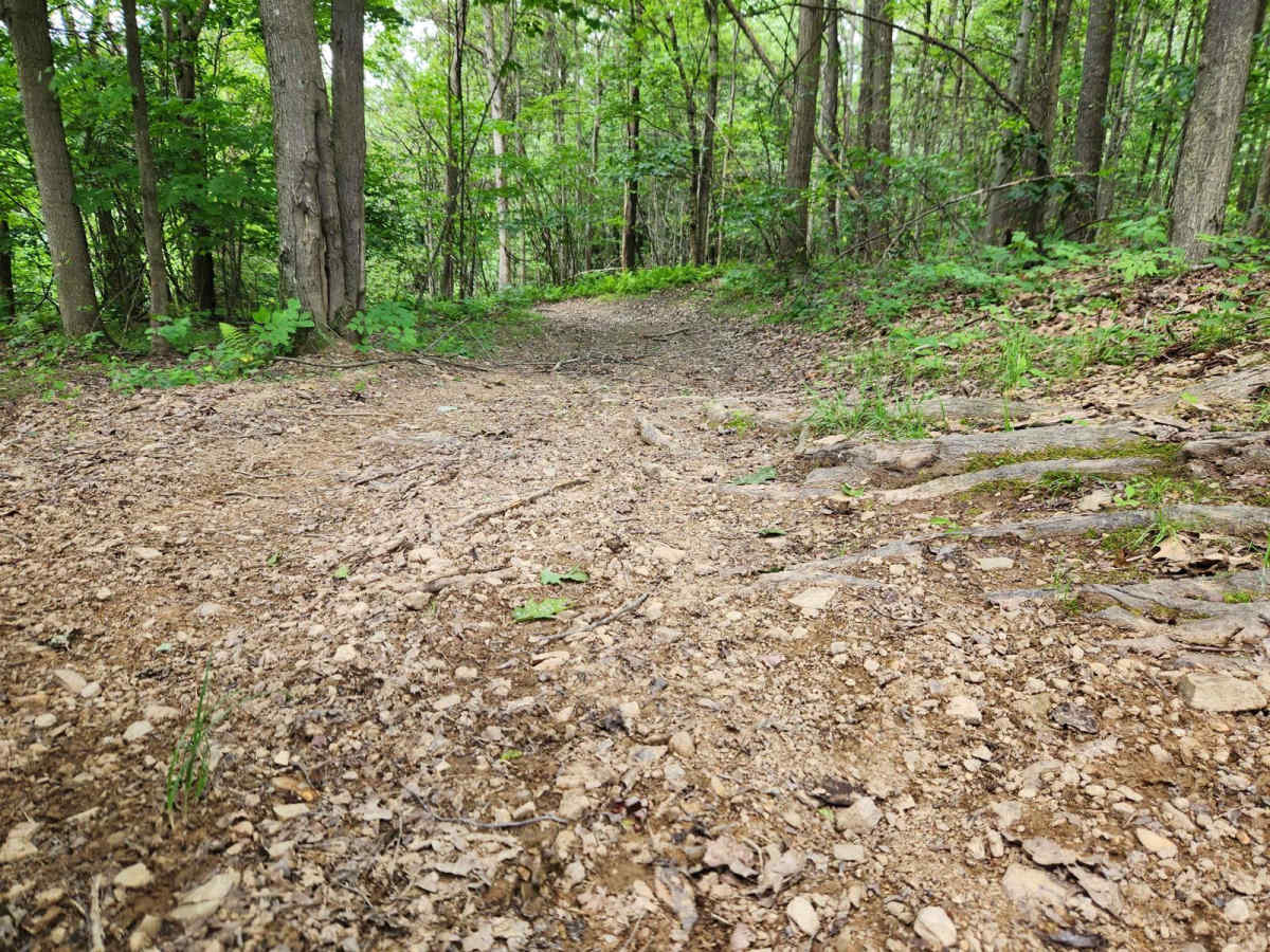 Trail 4C - Rock Run Recreation Area photo 4
