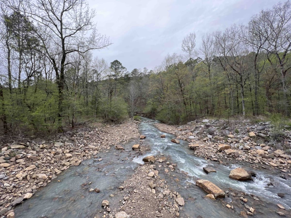 Shores Lake Road 1501 photo 5