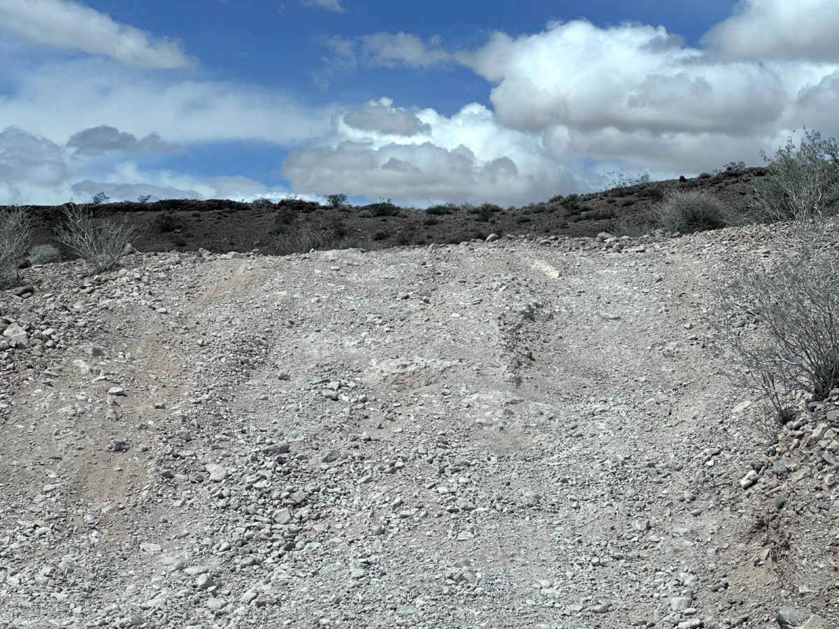 NPS 113 photo 2