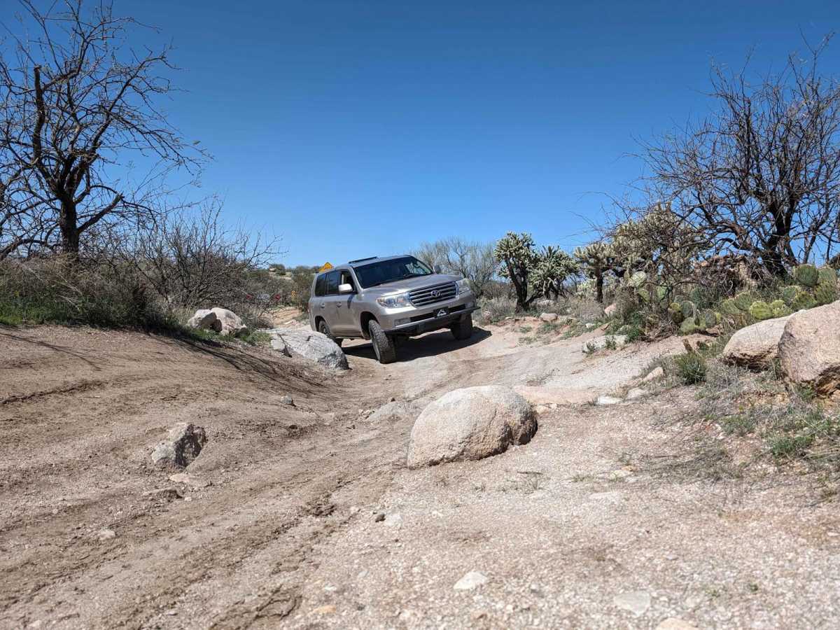 50 Year Trail Loop trail photo