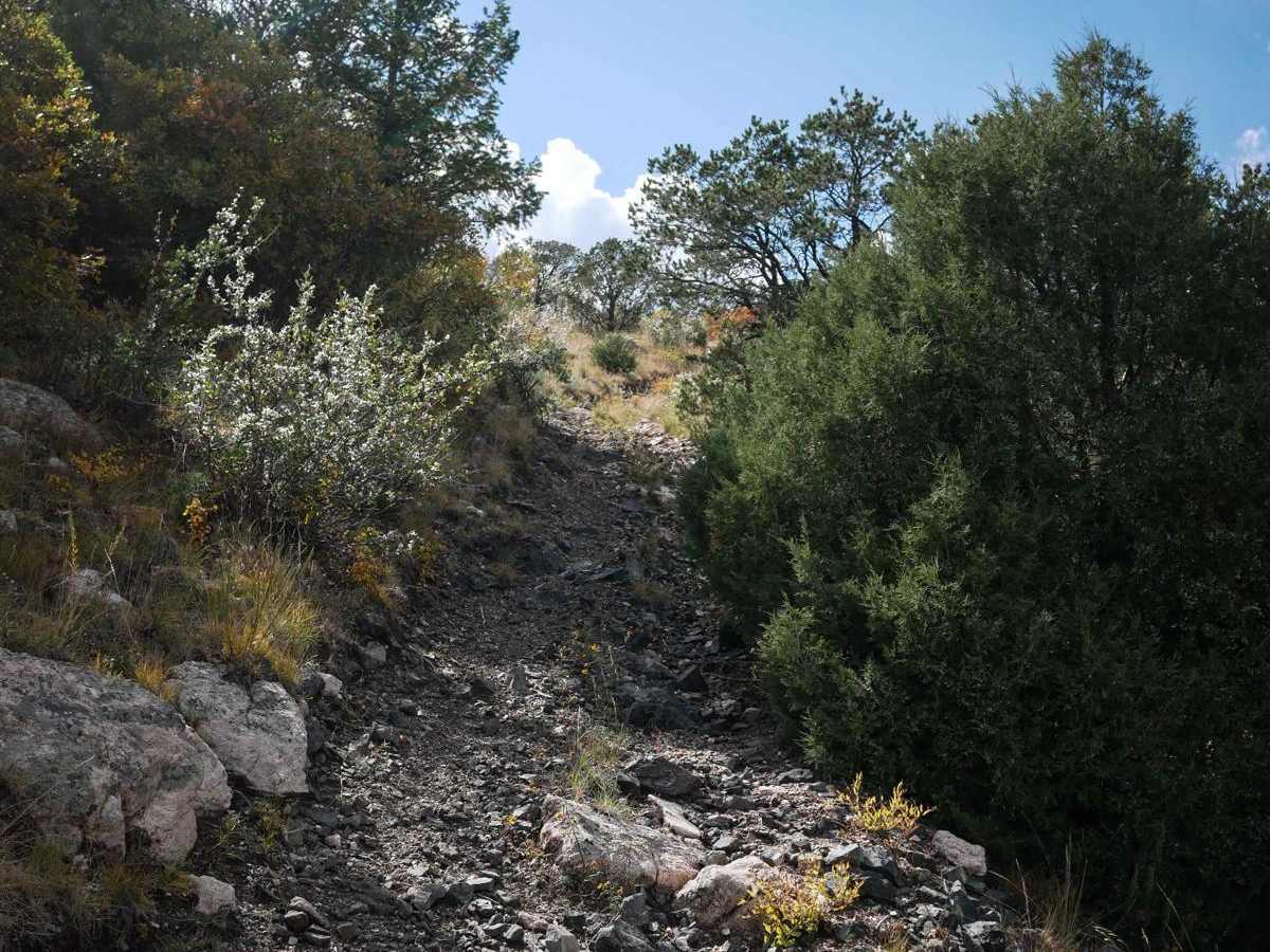 6041 ATV trail photo