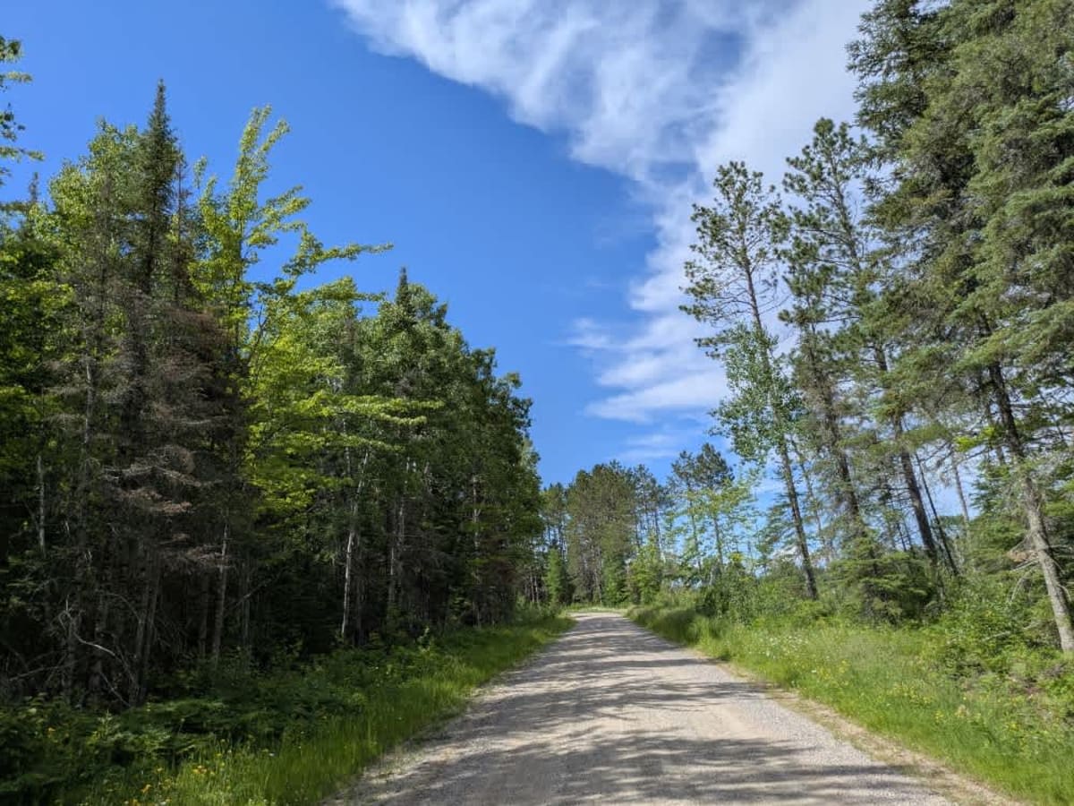Johnson Road photo 6