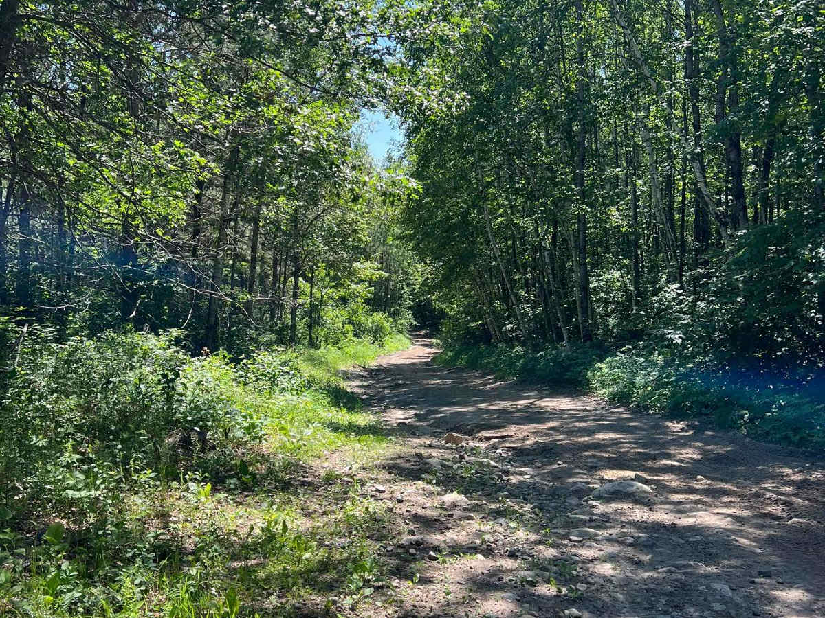 Paul Bunyan Far East Loop photo 2