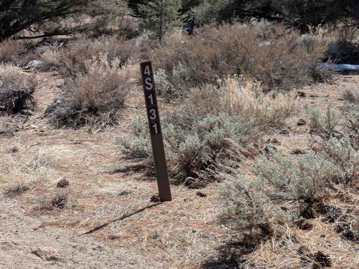 FS 4S131 trail photo
