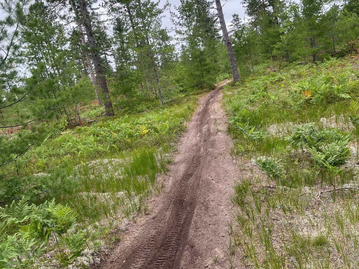 Two Hearted Trail West photo 4