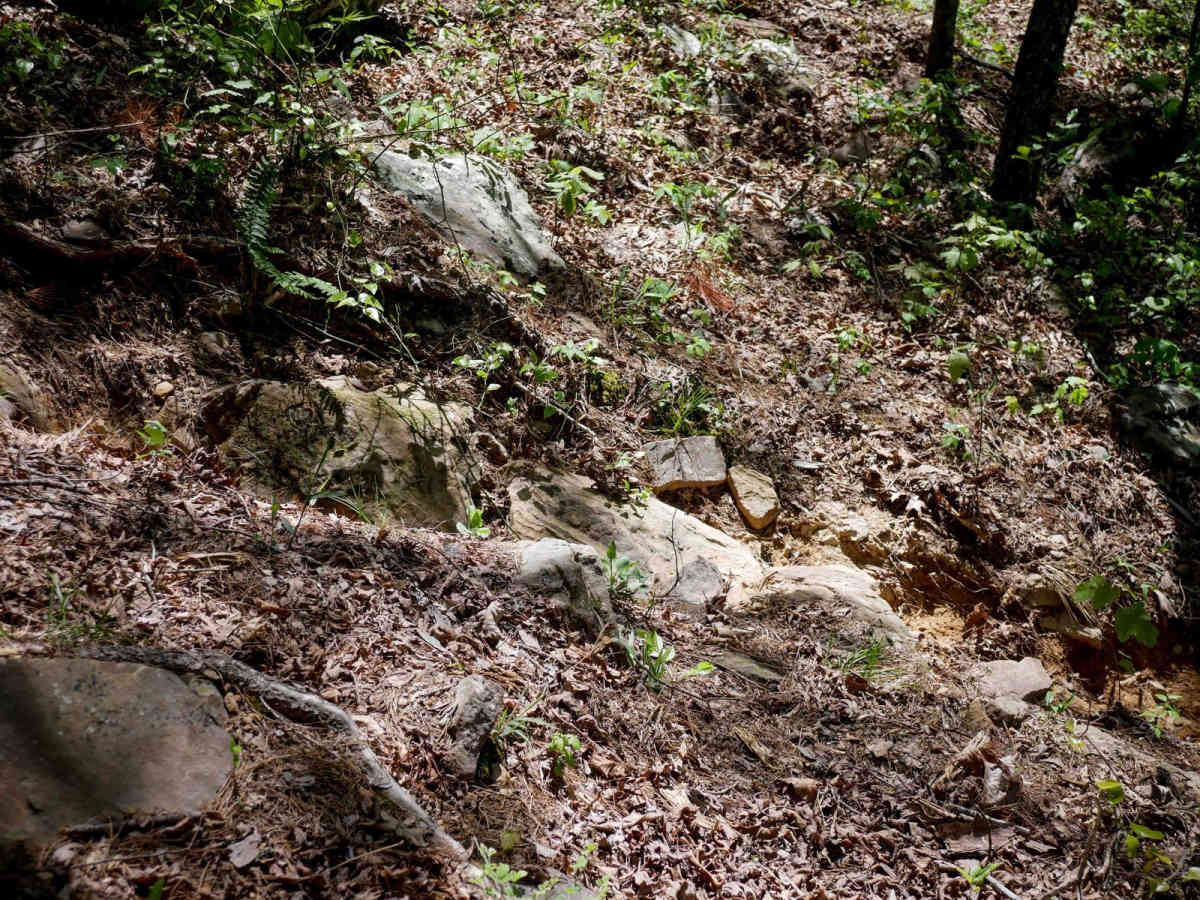 Brock 27 photo 3