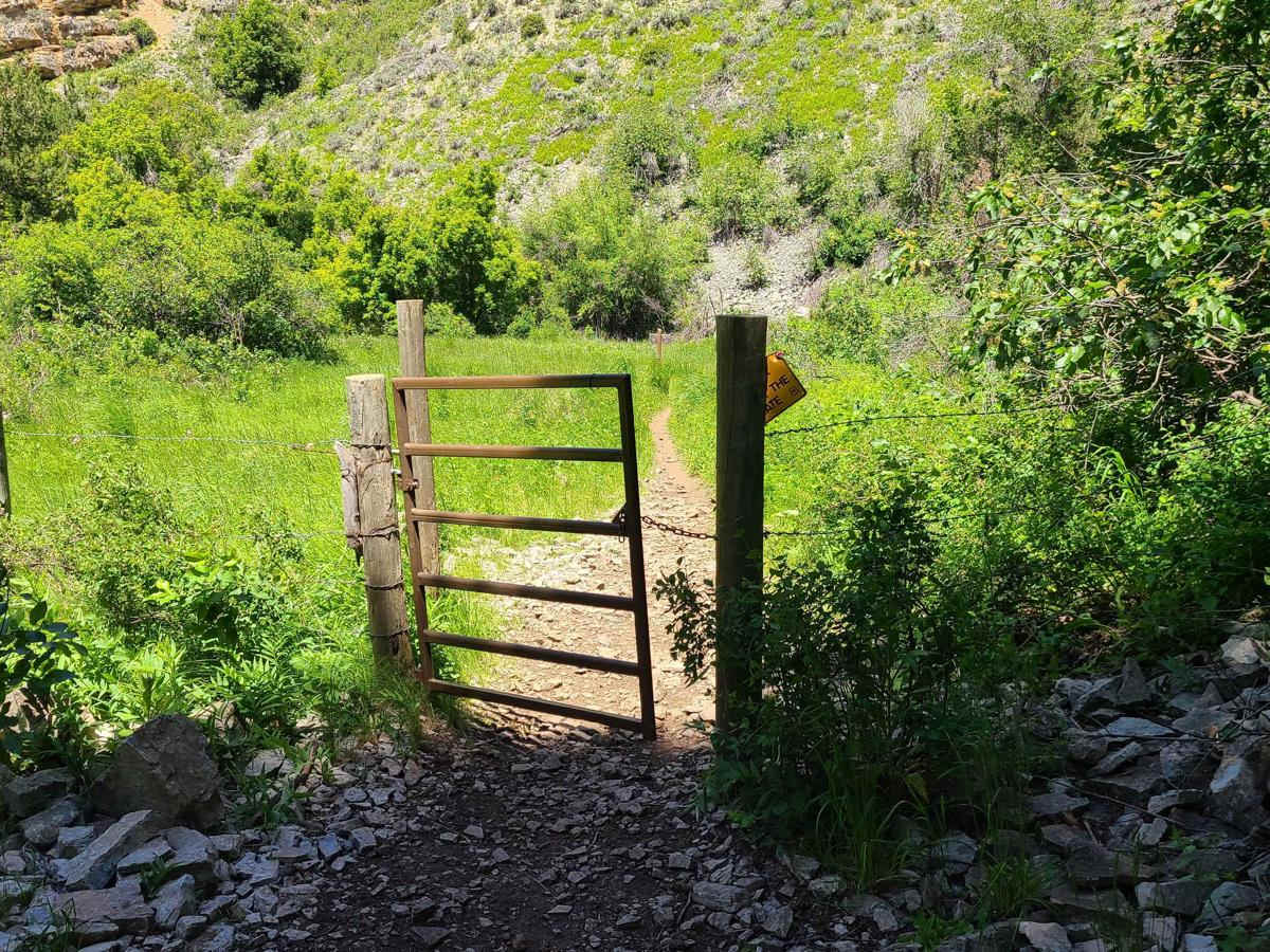 Steel Hollow photo 3