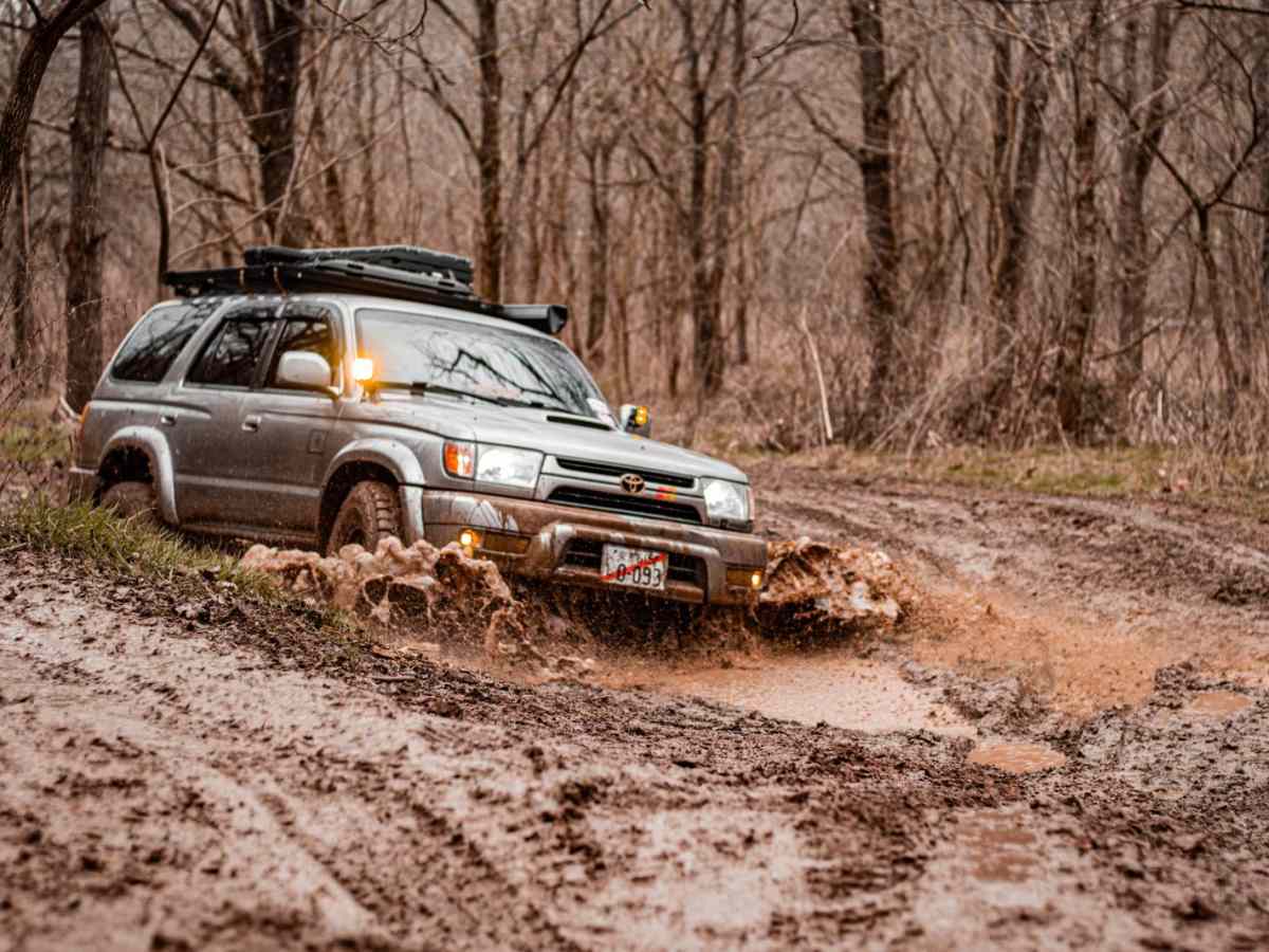Shiloh's Playground trail photo