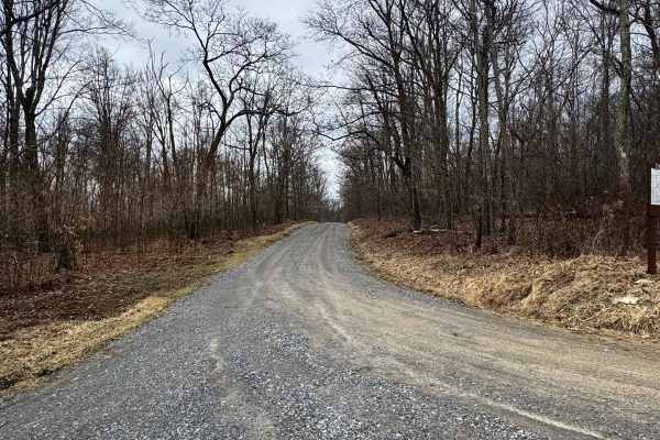 State Line Road
