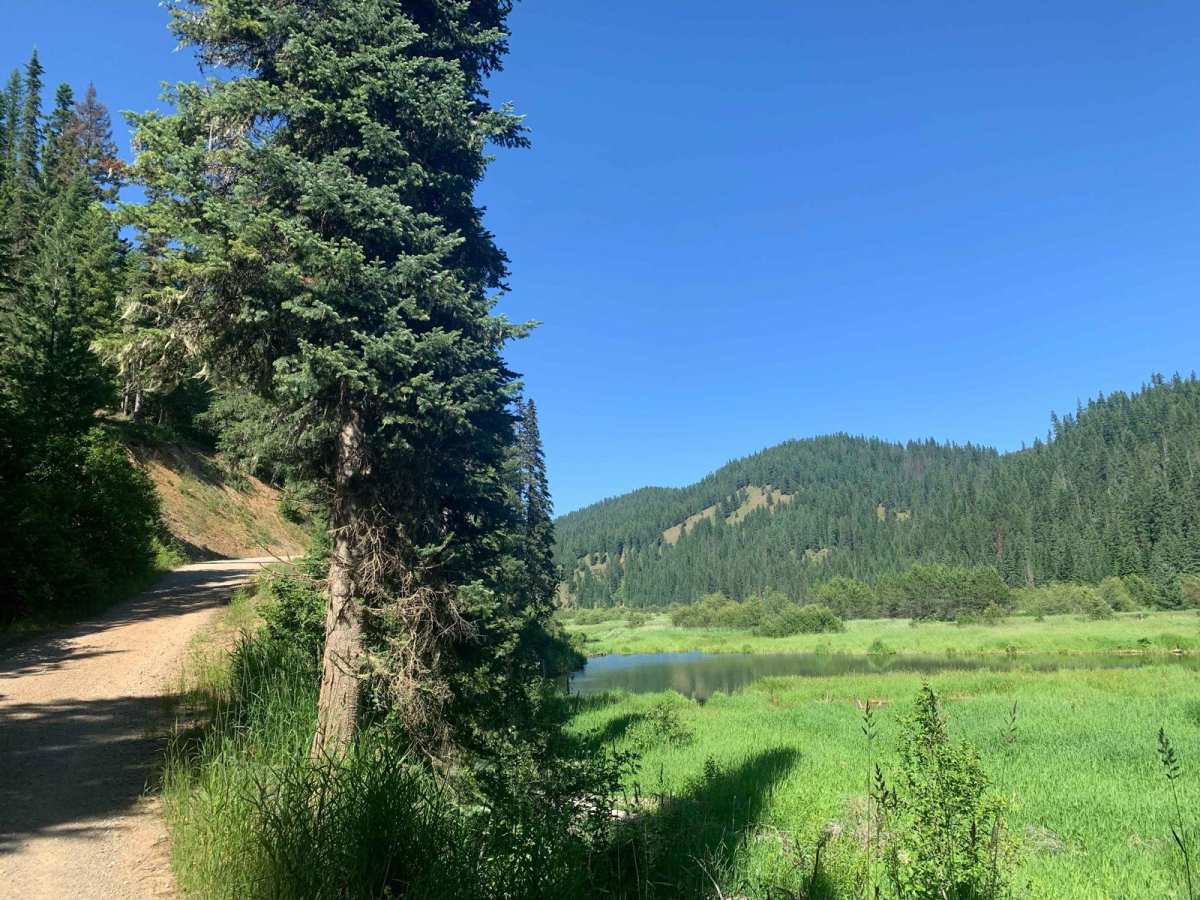 Leiberg Magee (422) trail photo